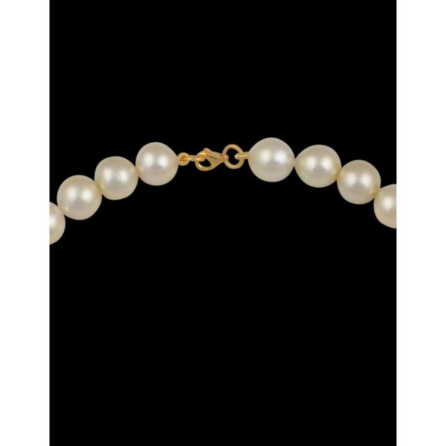 Cream Graduating Cream Color South Sea Pearls Necklace 14 Karat Yellow Gold Clasp For Sale - Image 8 of 18