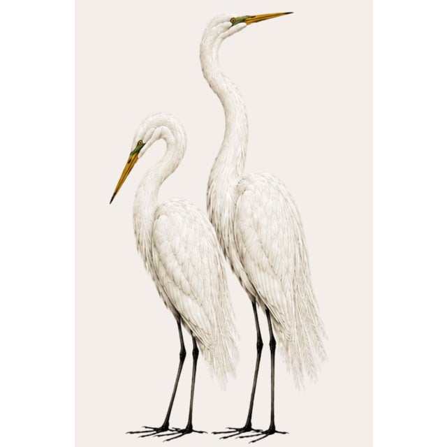 Contemporary Crane Studies 1 - 3, Neutral Coastal Bird Art Triptych, 16" X 24" For Sale - Image 3 of 9