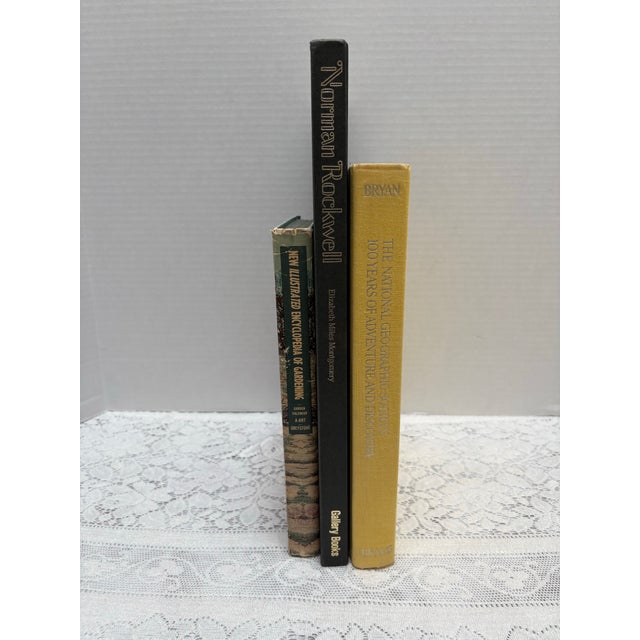 Cabin Vintage Large Set of Three Historical Reference & Art Books For Sale - Image 3 of 5