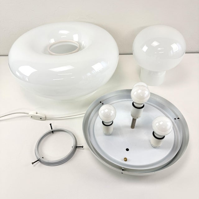 Electra Table or Ceiling Lamp attributed to G. Gramigna for Artemide, 1968 For Sale - Image 17 of 18