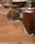 Mid-Century French Beech Butcher’s Block With Marble Top and Agricultural Plaque For Sale In Dallas - Image 6 of 12