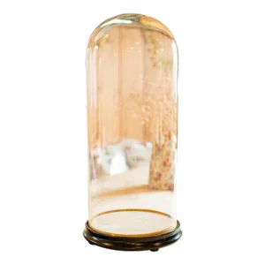 1860's Tall Antique Professor's Specimen Dome
