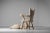Set of Witness Chair and Ottoman by Jurgen Bey for Makkink, Netherlands, 2008 For Sale - Image 11 of 18