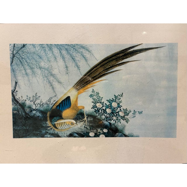 An elegant vintage Chinese-inspired bird and botanical print depicting a beautifully detailed long-tailed pheasant-like...