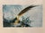 An elegant vintage Chinese-inspired bird and botanical print depicting a beautifully detailed long-tailed pheasant-like...