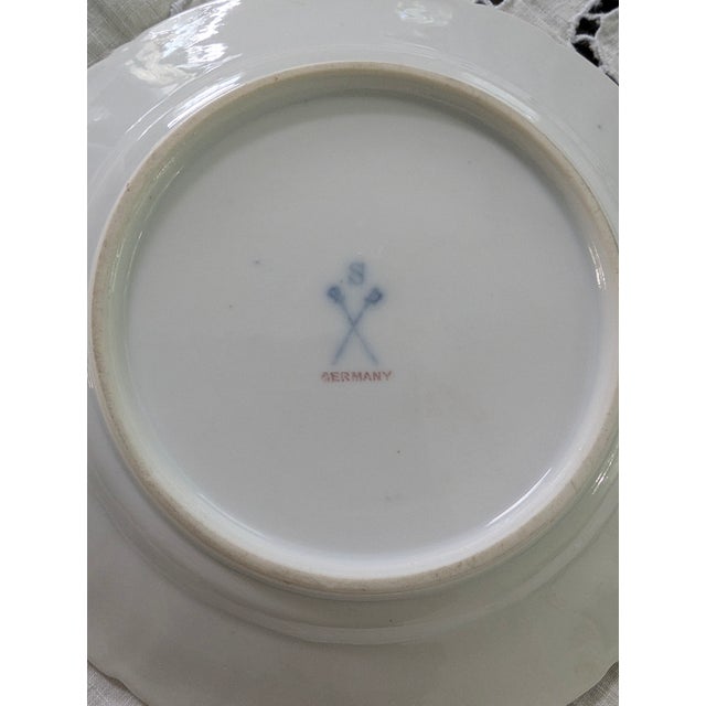 White Six Antique Meissen 6" Porcelain Plates With Hand Painted Garden Flowers & Gilt Highlights For Sale - Image 8 of 10