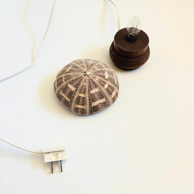 Vintage Sea Urchin Lamp For Sale - Image 10 of 10