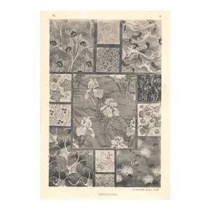 C1900 French Antique Art Nouveau Botanical Design Lithograph-Beared Iris,