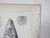 Mid 19th Century Us Pacifc Railroad Fish Lithograph Book Plate - A Pair For Sale In Seattle - Image 6 of 7