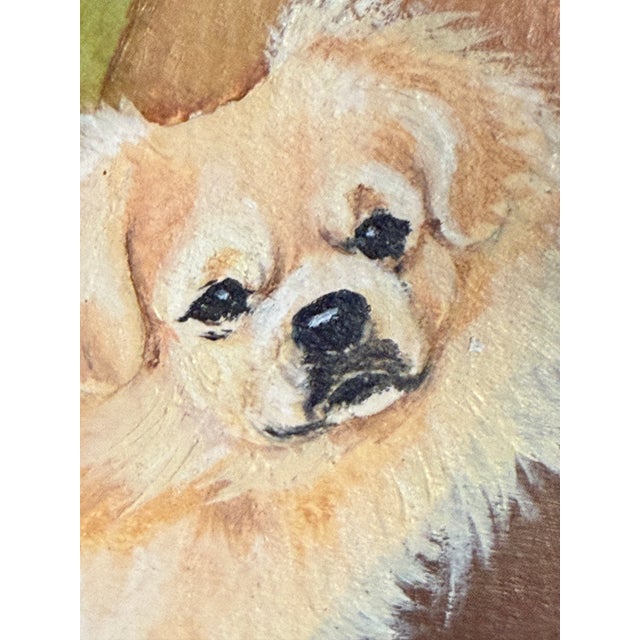 Late 20th Century Small Gold Framed Pekingese Dog Oil Painting, Signed For Sale - Image 4 of 8