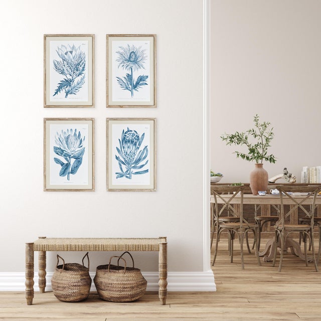 Kenneth Ludwig Chicago Indigo Protea Prints, Set Of 4 For Sale - Image 4 of 4