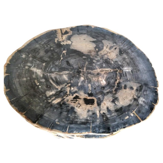 petrified wood on teak base.