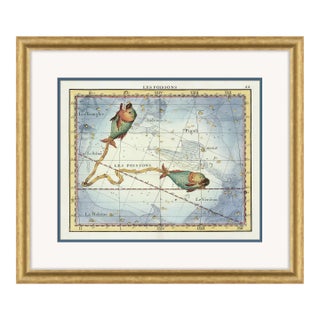 Pisces Framed Art Print by David Phoenix For Sale