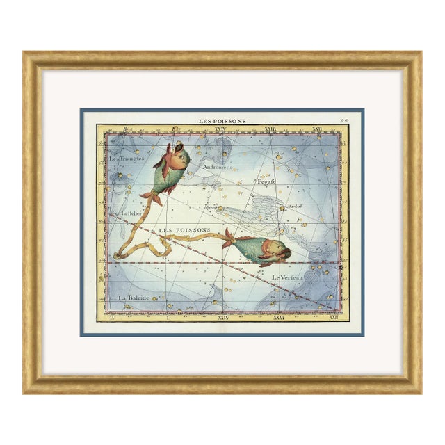 Pisces Framed Art Print by David Phoenix For Sale