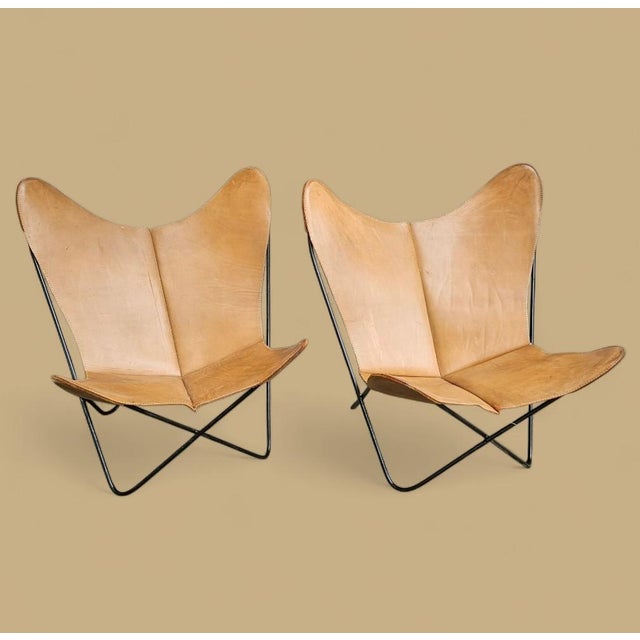 1960s Chairs Attributed to Hardoy BKF For Sale - Image 10 of 12