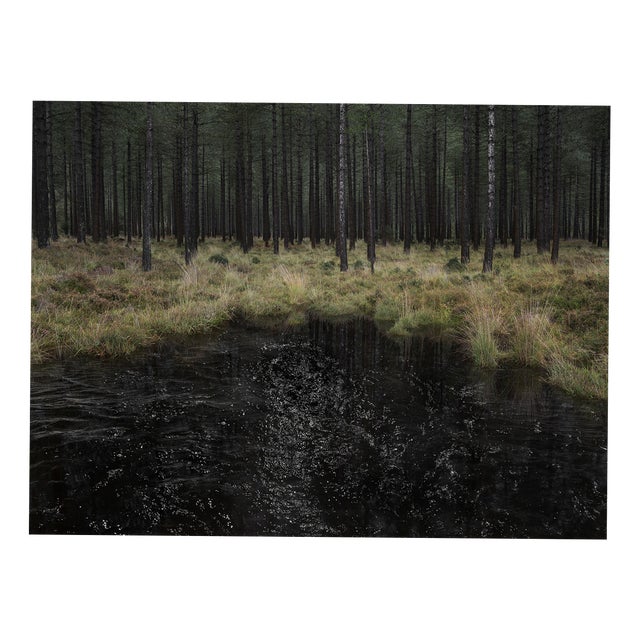 Ellie Davies, Seascapes 3, 2020, Print For Sale