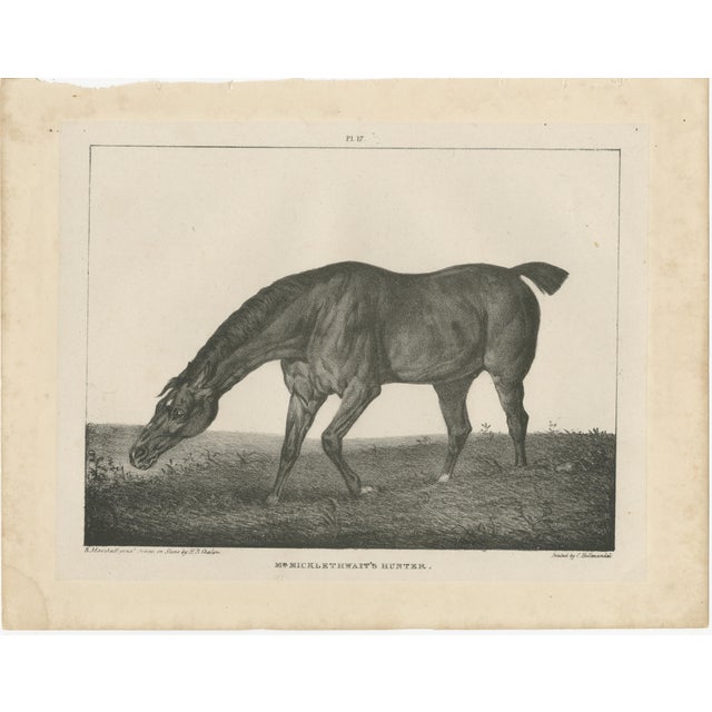 After Chalon, Equestrian Illustrations, Lithographs, 1840, Set of 4 For Sale - Image 11 of 12