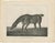 After Chalon, Equestrian Illustrations, Lithographs, 1840, Set of 4 For Sale - Image 11 of 12