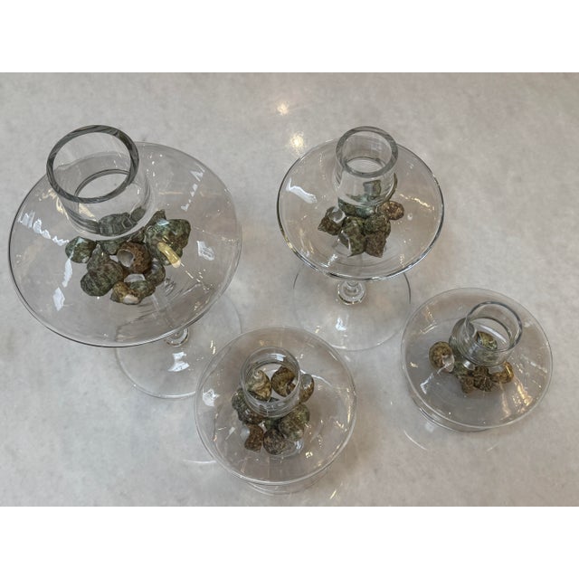 Transparent Modern Glass Pedestal Vessels + Seashells, Set of Four For Sale - Image 8 of 12
