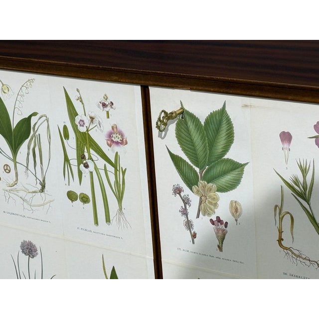 Swedish Modern, Monumental Nordens Flora Cabinet, Mahogany, Sweden, 1940s For Sale - Image 13 of 18