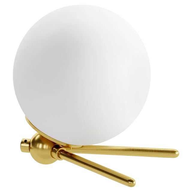 Handmade Alycon Lamp by Gobo Lights For Sale