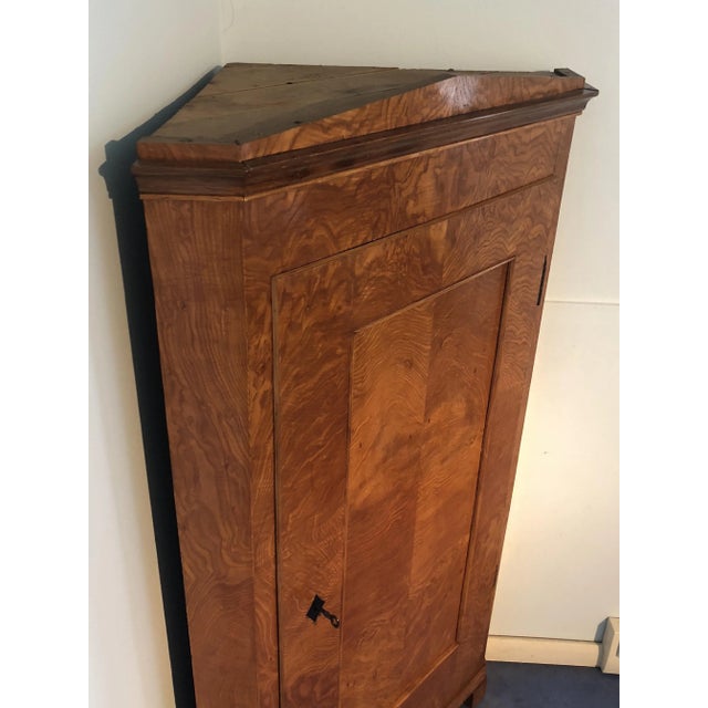 Biedermeier Elm Corner Cupboard, 1830s For Sale - Image 6 of 11
