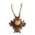 Antique Black Forest Roe Deer Antlers Hunting Trophy Mount For Sale