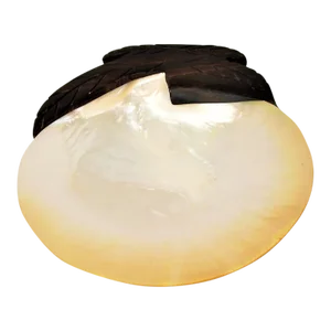 Contemporary Mother of Pearl Plate With Wood Carved Handle