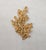 Mid-Century Modern Vintage 1971 Signed Napier Ad Piece Goldtone "Coral Branch" Brooch For Sale - Image 3 of 6