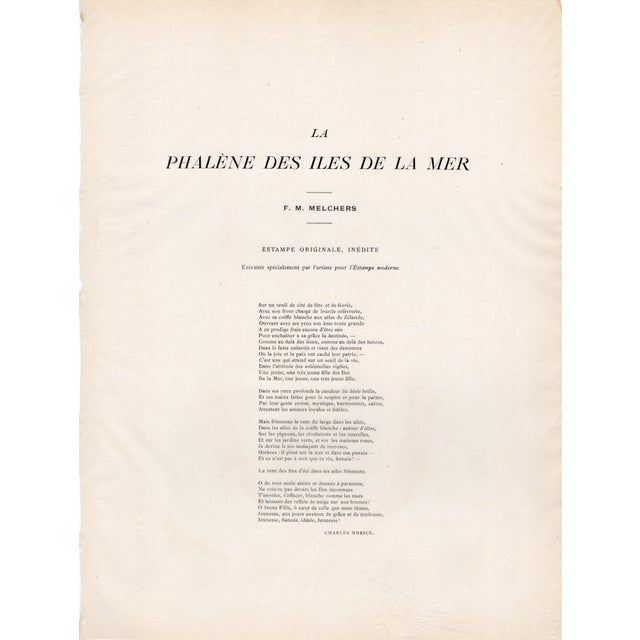 Paper Franz M. Melchers, Phalène des Îles de la Mer, 1897, Lithograph on Paper For Sale - Image 7 of 10