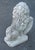 Vintage Cast Stone Lion with Shield Garden Statue For Sale - Image 9 of 12