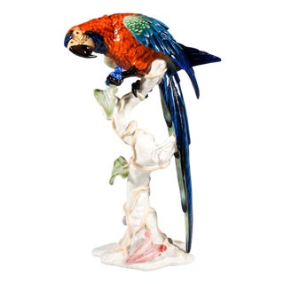 Large Mid-Century Porcelain Macaw on Trunk from Rosenthal, Germany, 1957 For Sale
