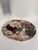 Very Large Vide-Poche or Dish in Petrified Wood For Sale - Image 12 of 18