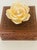 Lovely handcarved antique box of tropical wood with a beautiful sea shell flowers on top.