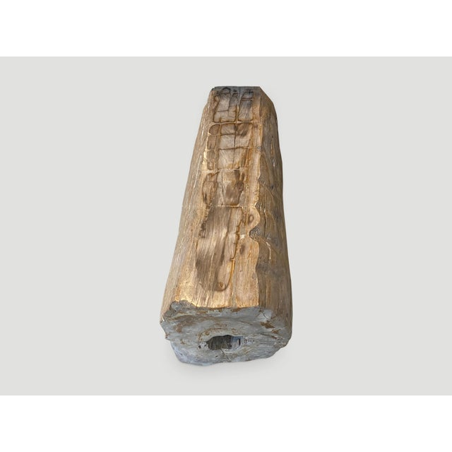 Brown Andrianna Shamaris Rare Petrified Wood Log Bench For Sale - Image 8 of 18