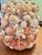 1990s Vintage Shell Encrusted Boho Chic Grotto Petite Lamp With Shade For Sale - Image 5 of 11