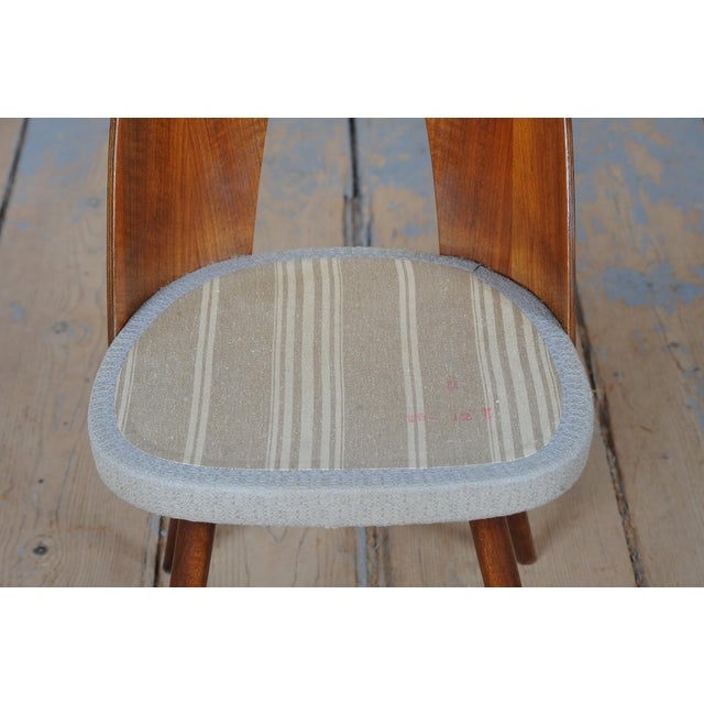 Mid-Century Chairs in Walnut attributed to Antonín Šuman, Czech, 1950s, Set of 4 For Sale - Image 11 of 18