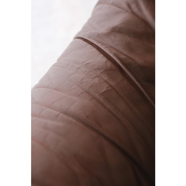 Vintage Three-Seater Sofa in Elm and Leather from Maison Regain, 1970s For Sale - Image 13 of 14