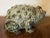 Mid-Century Modern 1965 American Art Pottery Mid-Century Modern Sculpture of a Toad or Bull Frog For Sale - Image 3 of 13