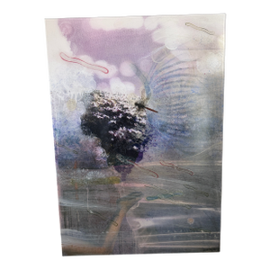 Sheree Friedman “They Emerge #2a” Contemporary Plexi-Sandwiched Print, 40" X 28"