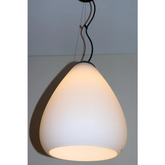 Federico Codato Murano Glass Pendant Lamp For Sale - Image 9 of 12