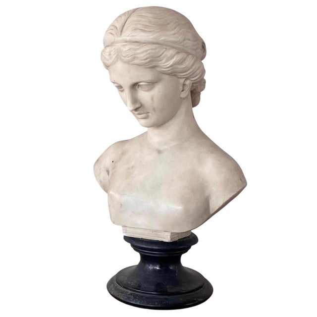 Italian Carved Marble Bust of a Young Woman For Sale - Image 14 of 16