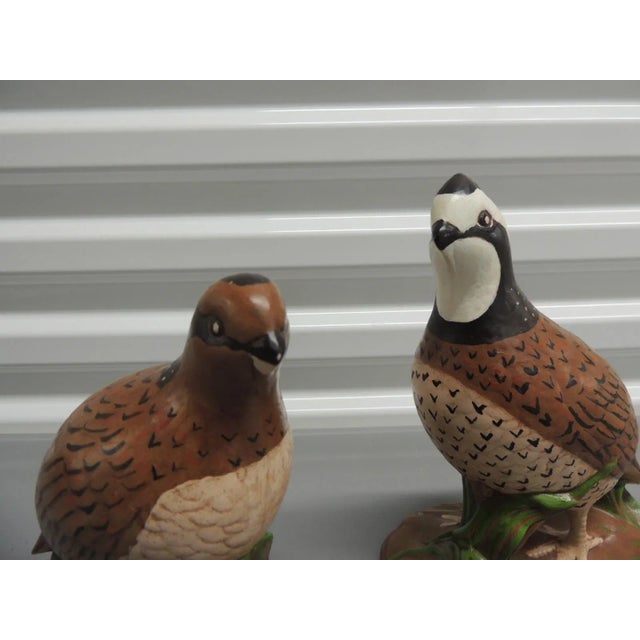 Vintage Hand Painted "Bob White" Quails Birds Figurines - Set of 2 For Sale - Image 4 of 7