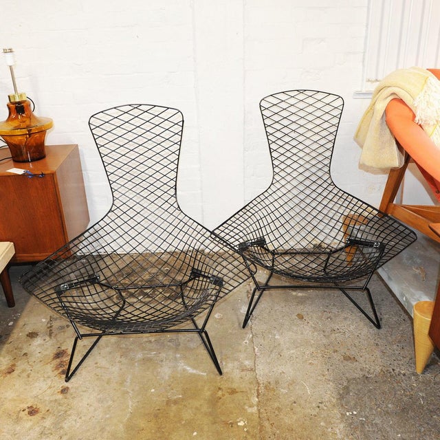 Bird Chairs by Harry Bertoia for Knoll, 1950s, Set of 2 For Sale - Image 3 of 15