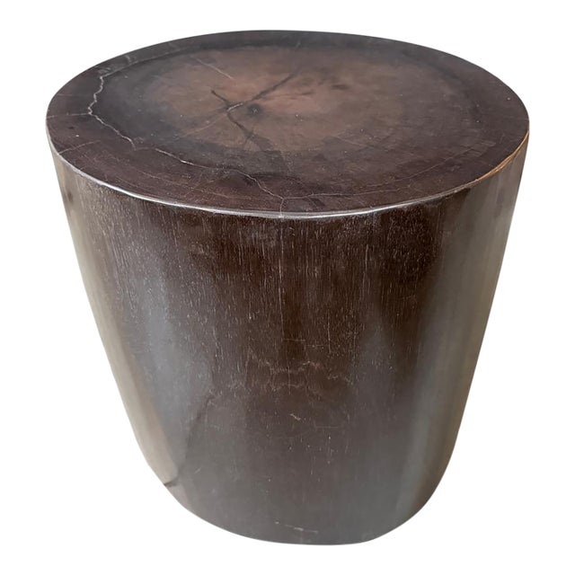 Andrianna Shamaris Minimalist Super Smooth Petrified Wood Side Table For Sale
