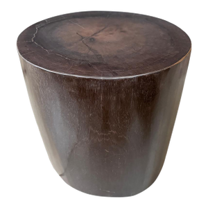 Andrianna Shamaris Minimalist Super Smooth Petrified Wood Side Table