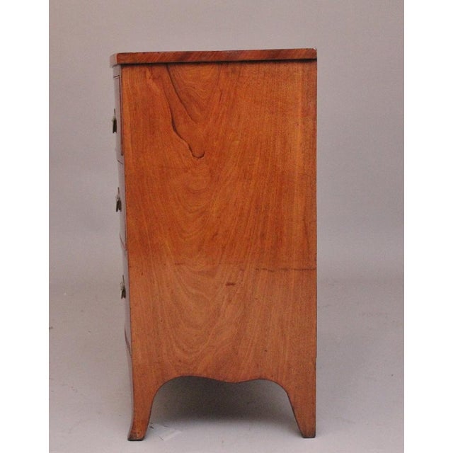 Brown 19th Century Mahogany Bowfront Chest of Drawers, 1820s For Sale - Image 8 of 9