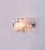 Large Murano Glass Wall Sconce from Mazzega, 1960s For Sale - Image 12 of 18