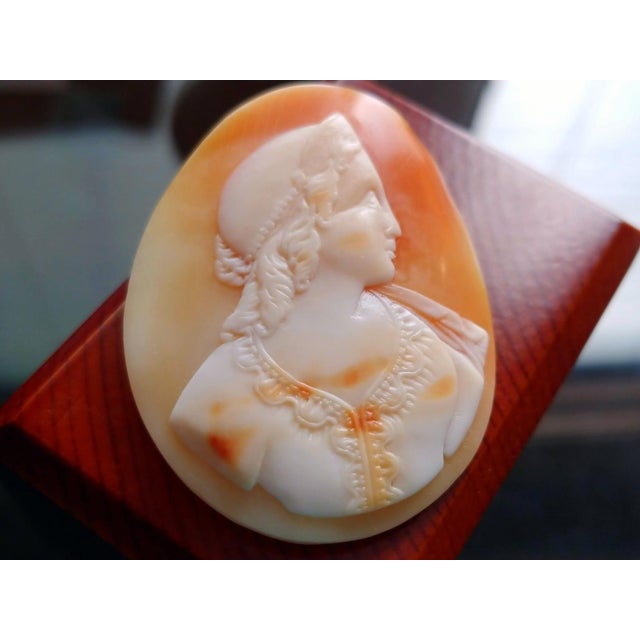 Victorian Antique Victorian Shell Cameo of Princess, Circa 1860-1890, England For Sale - Image 3 of 7