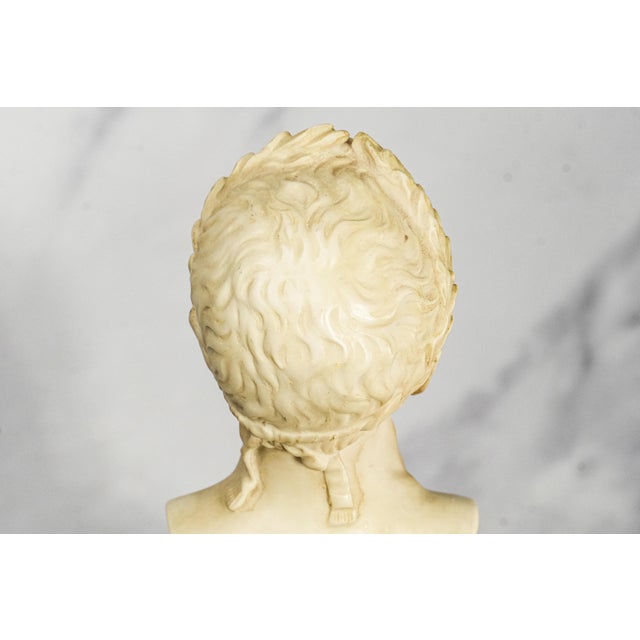 Vintage Roman Julius Caesar Man Bust Statue Classical Grand Tour Style Sculpture Home Decor For Sale - Image 9 of 14